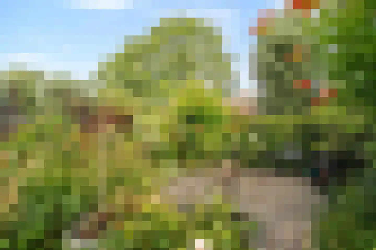 Langeweid 19 Koedijk thumbnail 49
