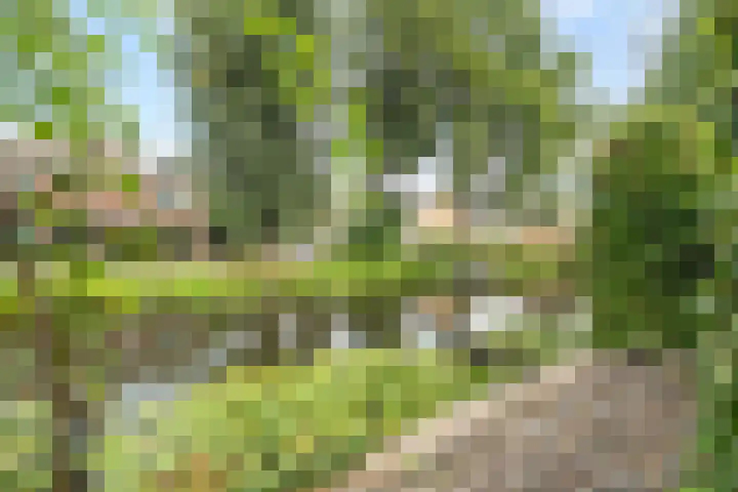 Langeweid 19 Koedijk thumbnail 51