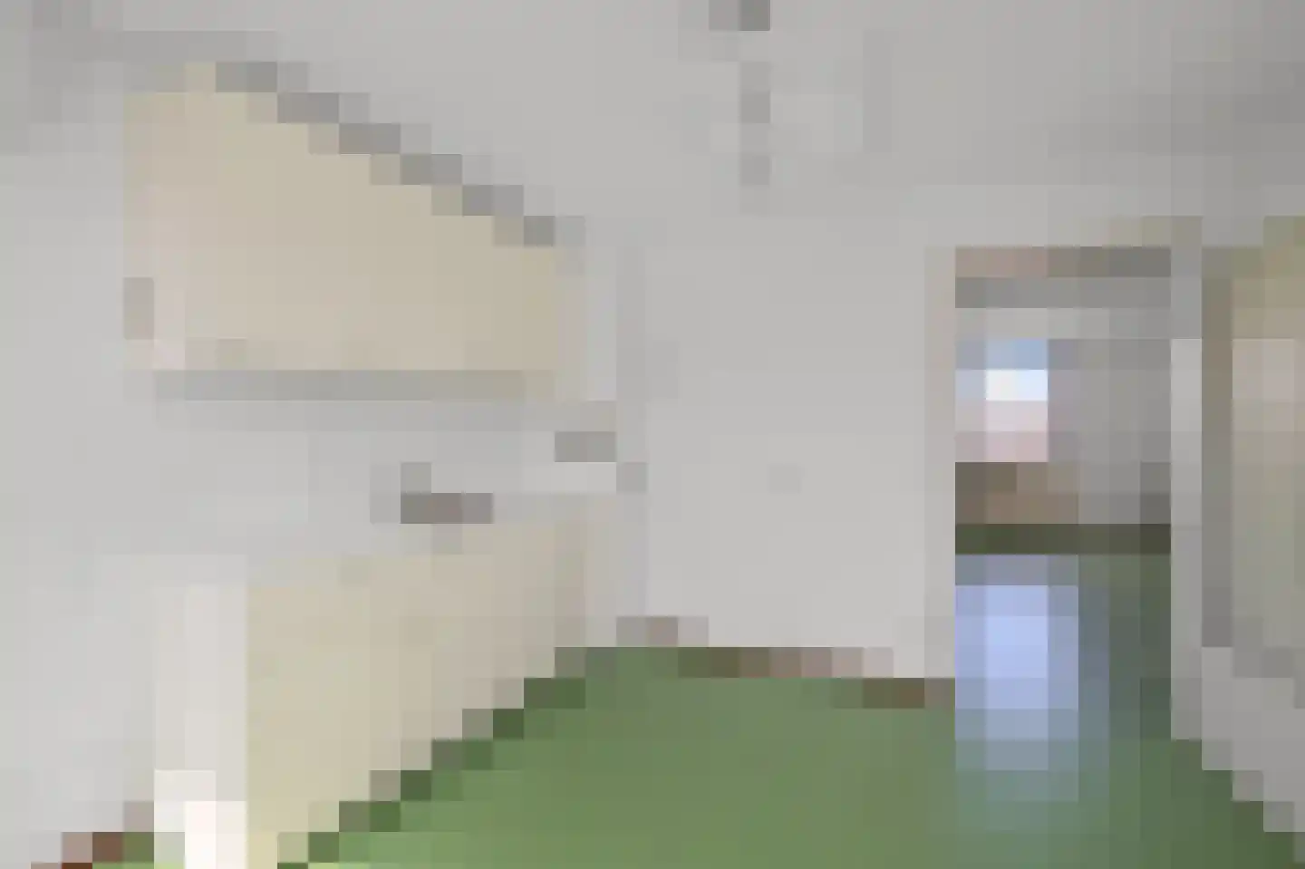 Langeweide 166 Zaandam thumbnail 23
