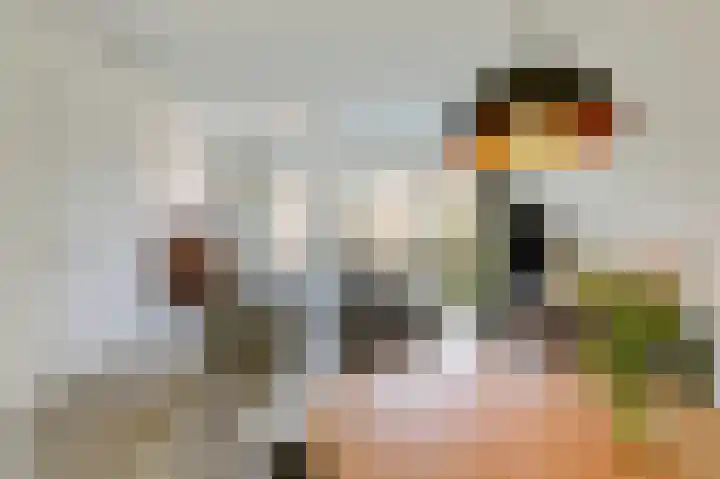 Langeweide 5 Babberich thumbnail 21