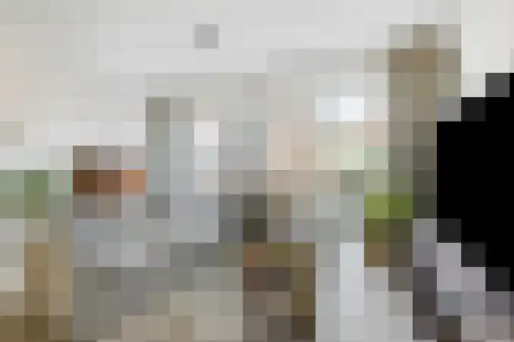 Langeweide 5 Babberich thumbnail 22