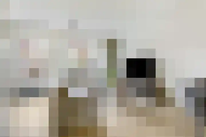 Langeweide 5 Babberich thumbnail 24