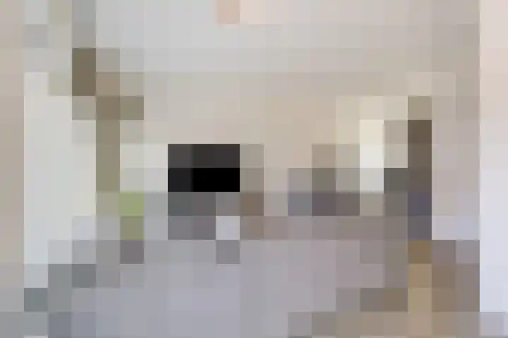 Langeweide 5 Babberich thumbnail 26