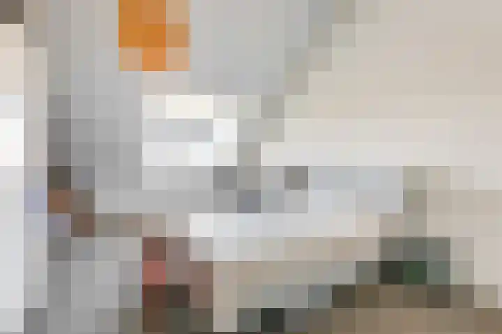 Langeweide 5 Babberich thumbnail 47