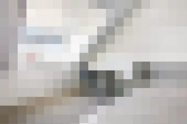Langeweide 5 Babberich thumbnail 48