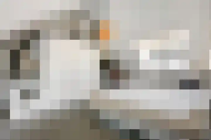 Langeweide 5 Babberich thumbnail 50