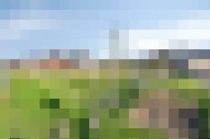 Langeweide 5 Babberich thumbnail 52