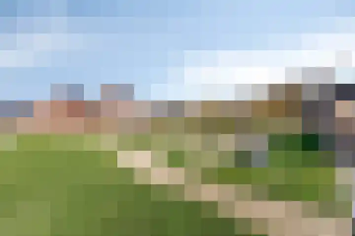 Langeweide 5 Babberich thumbnail 53