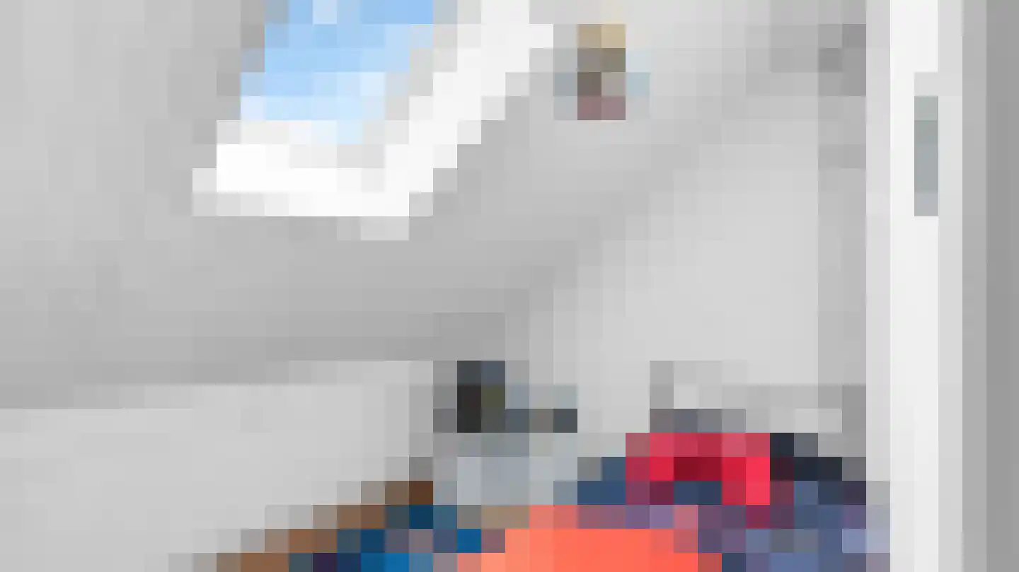 Langeweidestraat 26 Arriën thumbnail 20