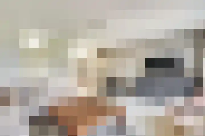 Langewerf 1 Hank thumbnail 11