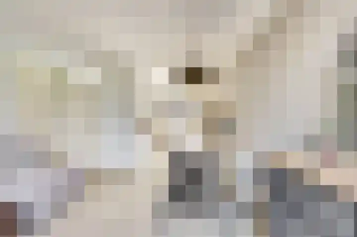 Langewerf 1 Hank thumbnail 12