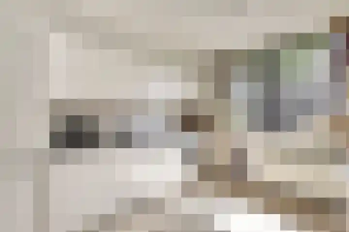 Langewerf 1 Hank thumbnail 13