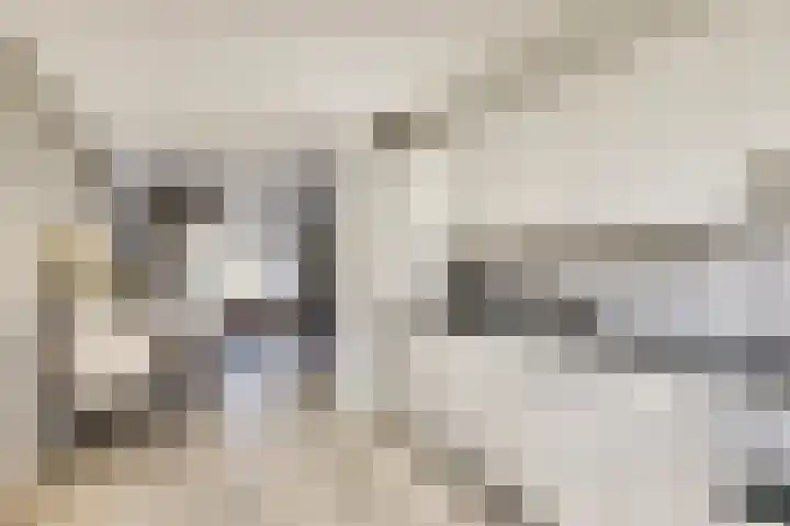 Langewerf 1 Hank thumbnail 14