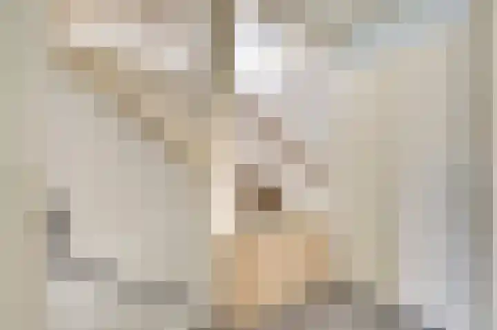 Langewerf 1 Hank thumbnail 15