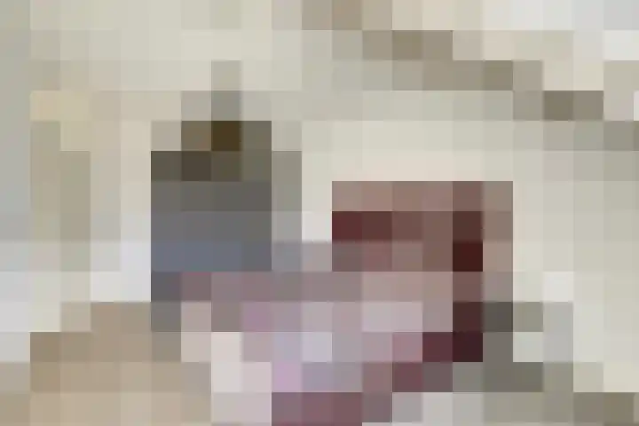 Langewerf 1 Hank thumbnail 17