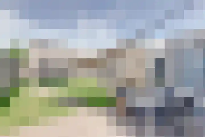 Langewerf 1 Hank thumbnail 24