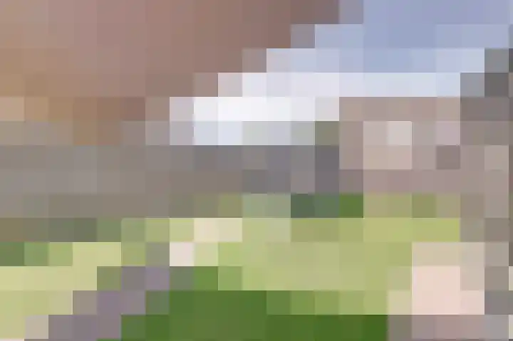 Langewerf 1 Hank thumbnail 25