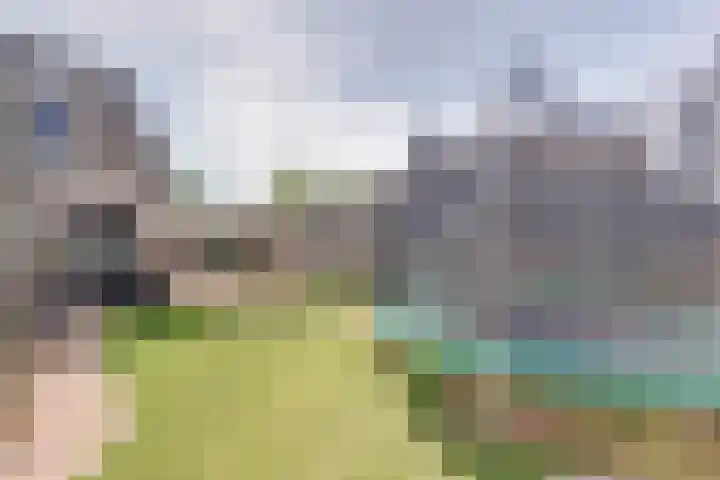 Langewerf 1 Hank thumbnail 26
