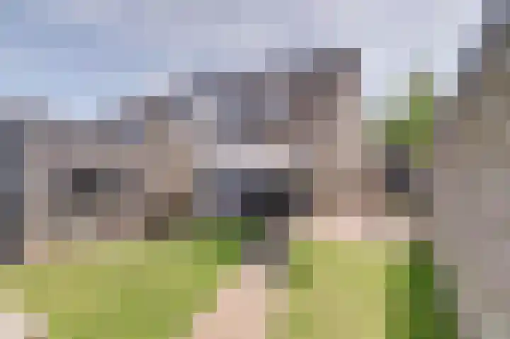 Langewerf 1 Hank thumbnail 27