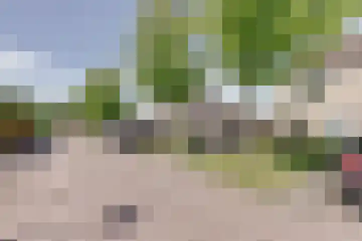 Langewerf 1 Hank foto 3