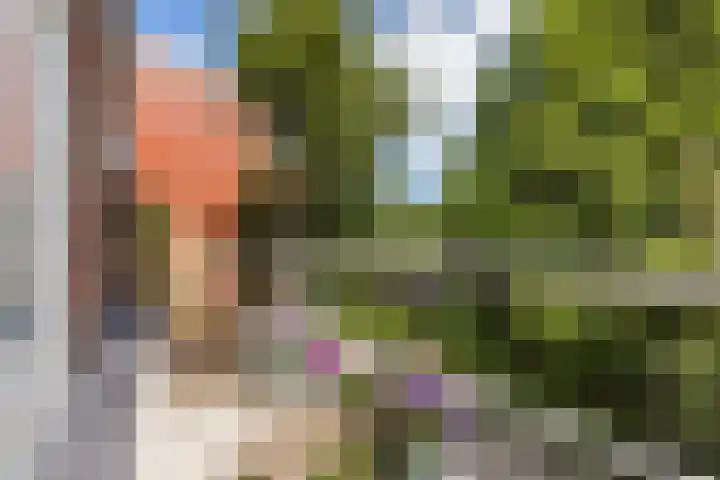 Langewerf 1 Hank thumbnail 31