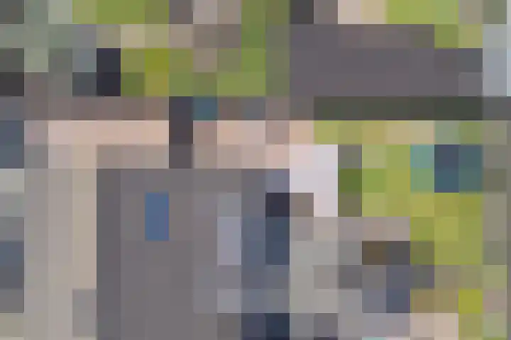 Langewerf 1 Hank thumbnail 31