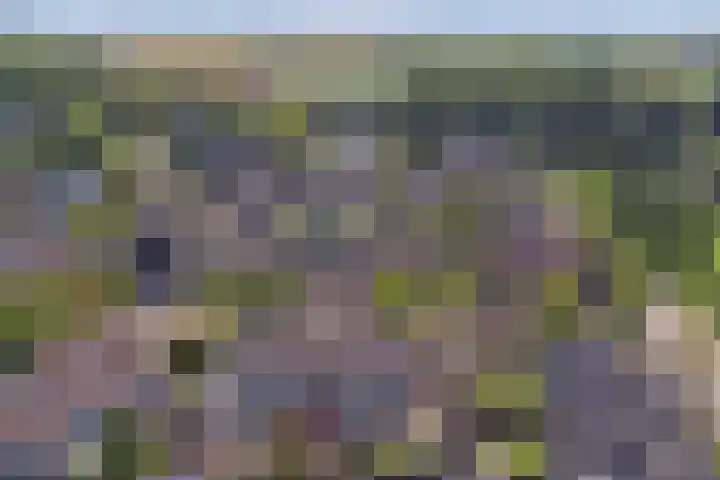 Langewerf 1 Hank thumbnail 33
