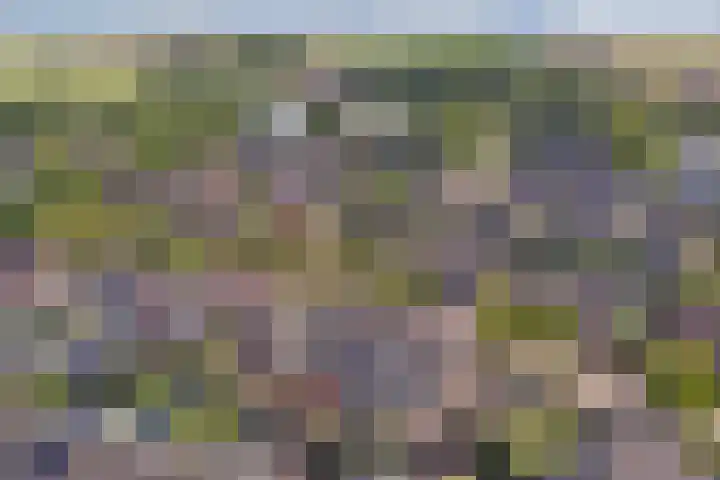Langewerf 1 Hank thumbnail 34