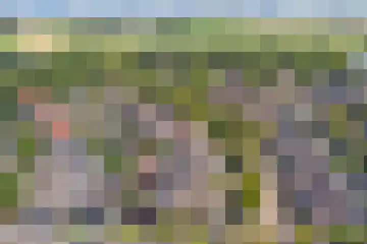 Langewerf 1 Hank thumbnail 35