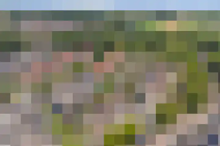 Langewerf 1 Hank thumbnail 36