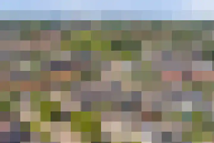 Langewerf 1 Hank thumbnail 37