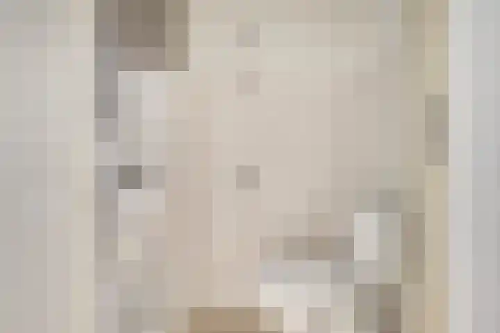 Langewerf 1 Hank thumbnail 8