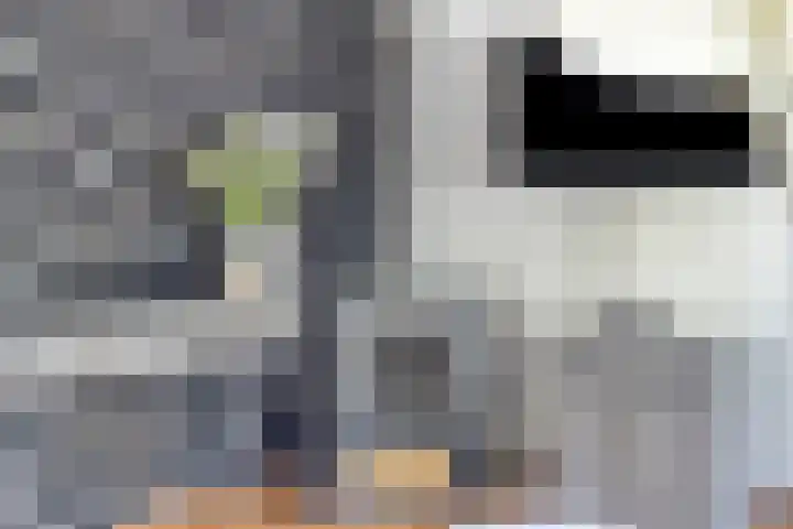 Langewerf 15 Hank thumbnail 10