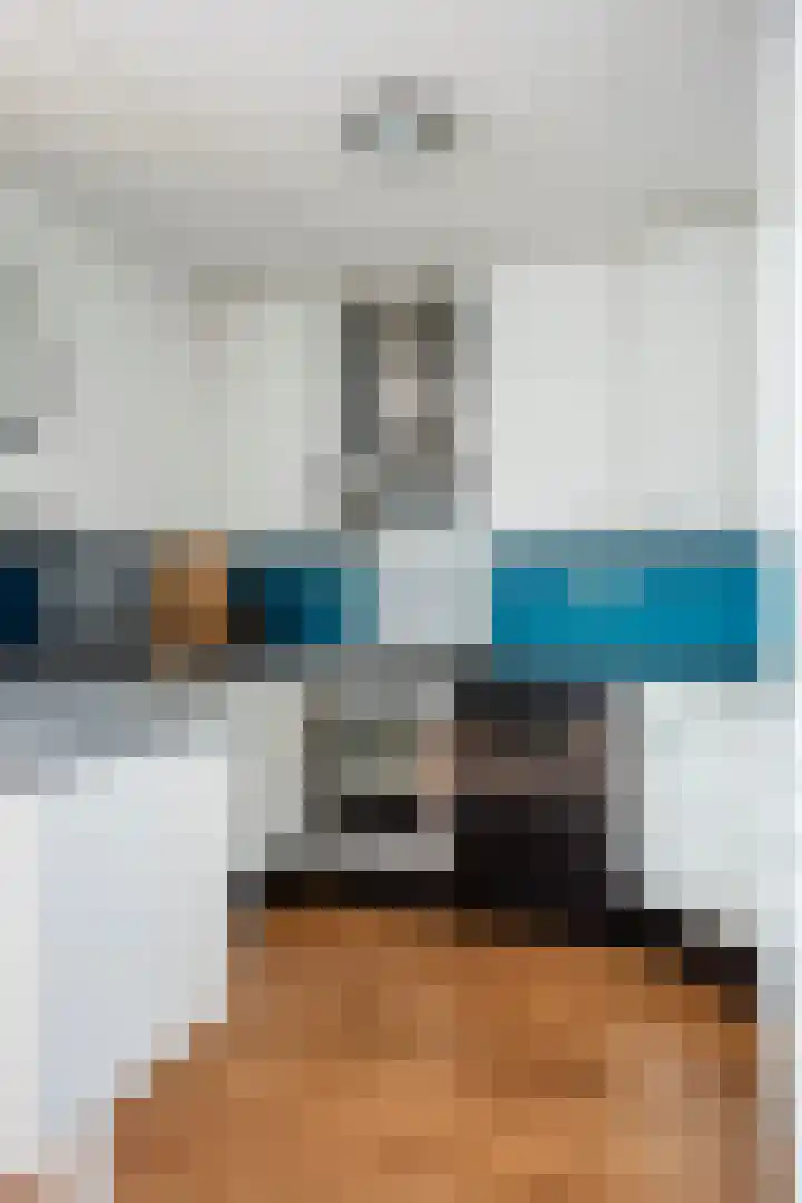 Langewerf 15 Hank thumbnail 20