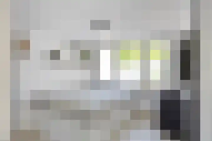 Langewerf 15 Hank thumbnail 22