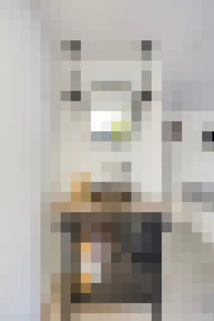 Langewerf 15 Hank thumbnail 24