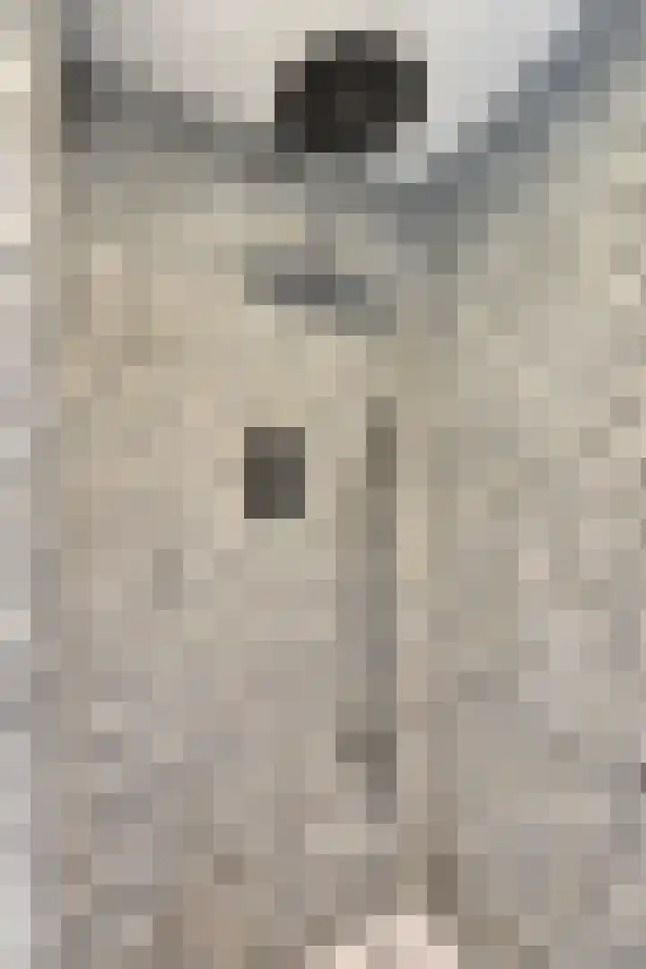 Langewerf 15 Hank thumbnail 25