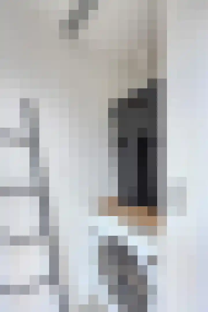 Langewerf 15 Hank thumbnail 27