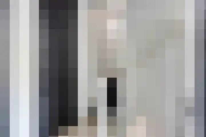 Langewerf 15 Hank thumbnail 28