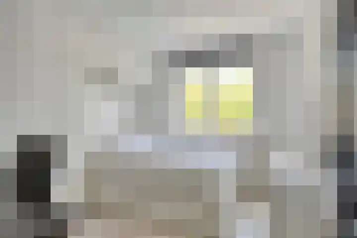Langewerf 15 Hank thumbnail 29