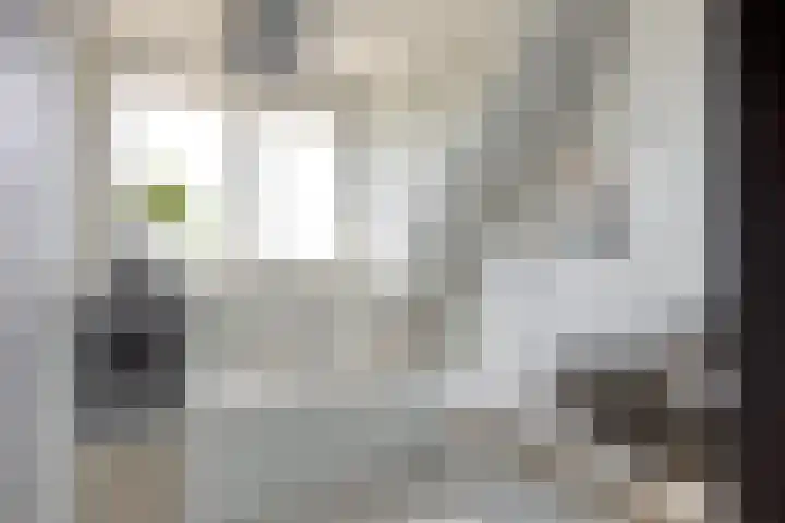 Langewerf 15 Hank thumbnail 31