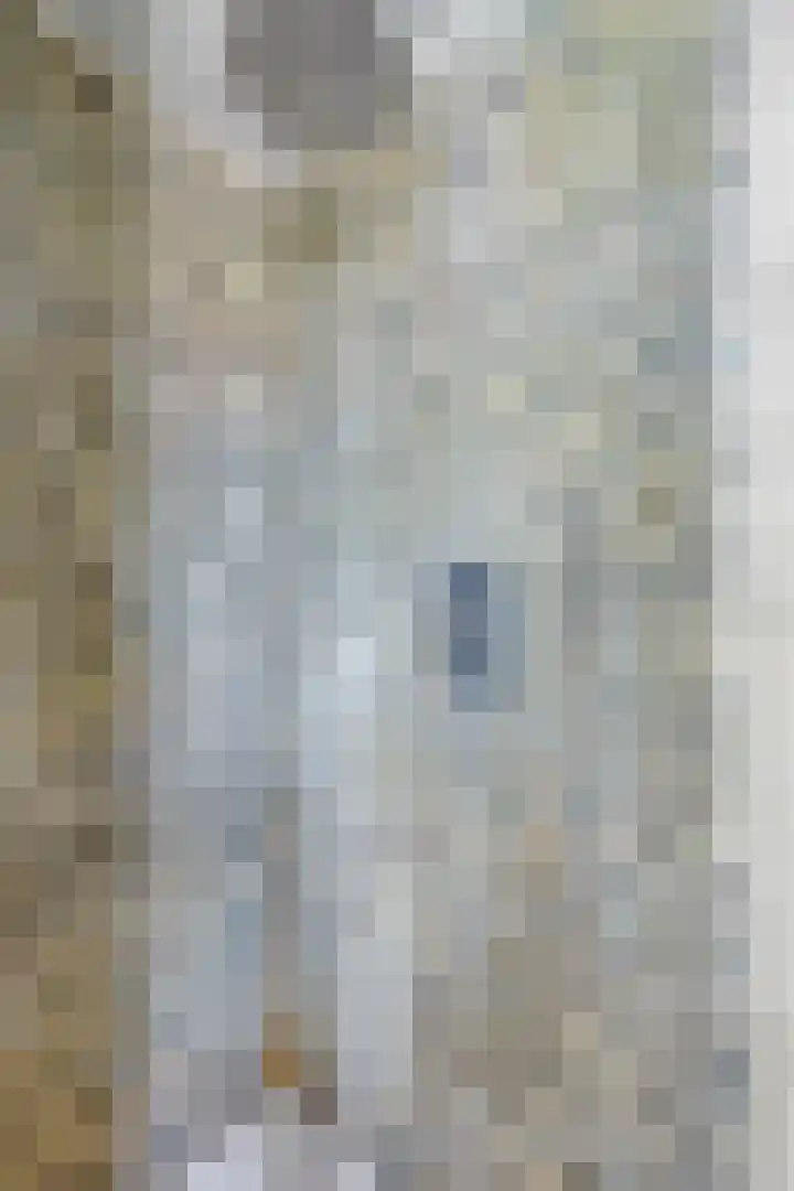 Langewerf 15 Hank thumbnail 33