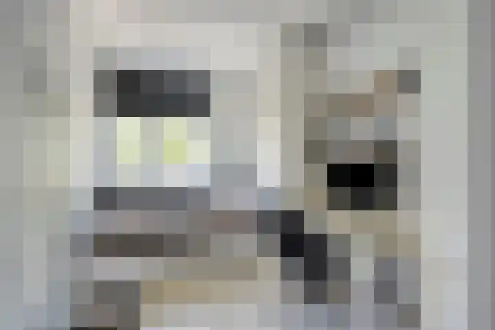 Langewerf 15 Hank thumbnail 34
