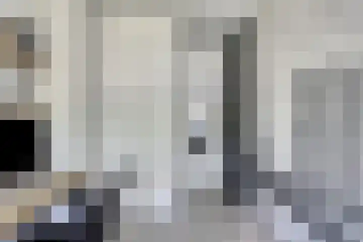 Langewerf 15 Hank thumbnail 35