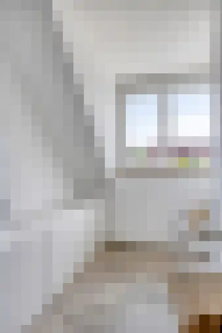 Langewerf 15 Hank thumbnail 37