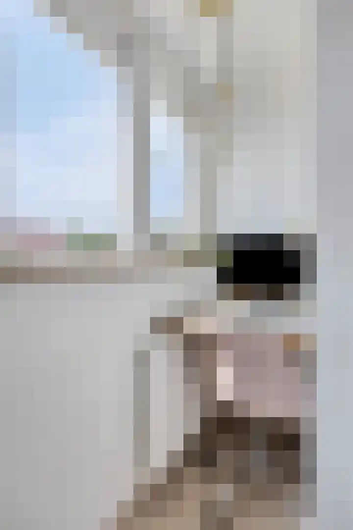 Langewerf 15 Hank thumbnail 38