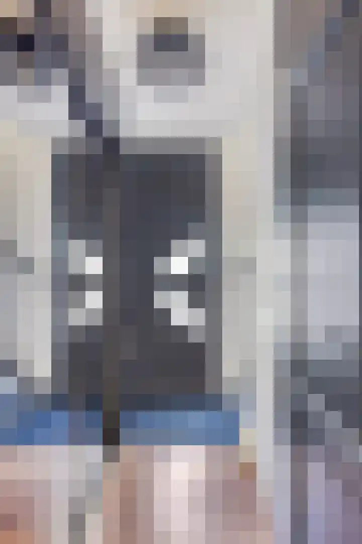 Langewerf 15 Hank thumbnail 4