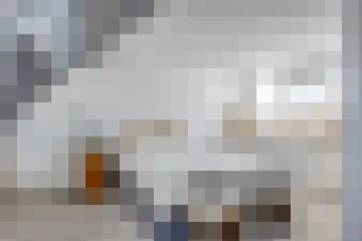 Langewerf 15 Hank thumbnail 40