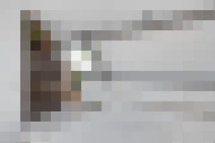 Langewerf 15 Hank thumbnail 41