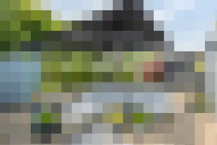 Langewerf 15 Hank thumbnail 42